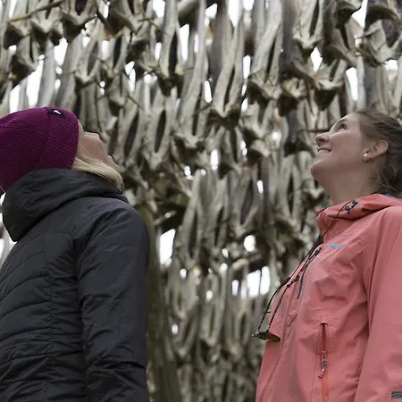 Sakrisoy Rorbuer منتزه العطل راين