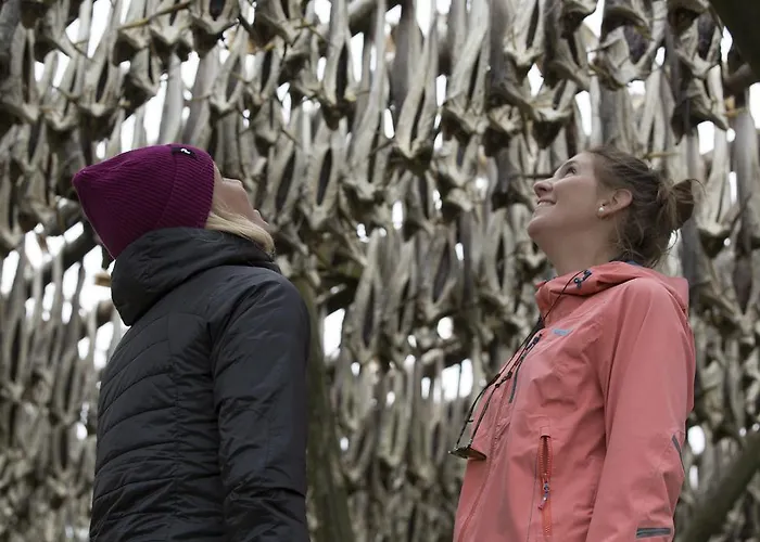 Sakrisoy Rorbuer Vakantiepark Reine