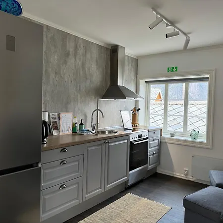 Sakrisoy Rorbuer 3* 레이네